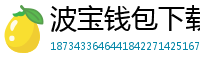 波宝钱包下载教程